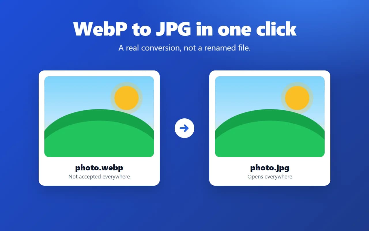 A WebP image converted to JPG in one click