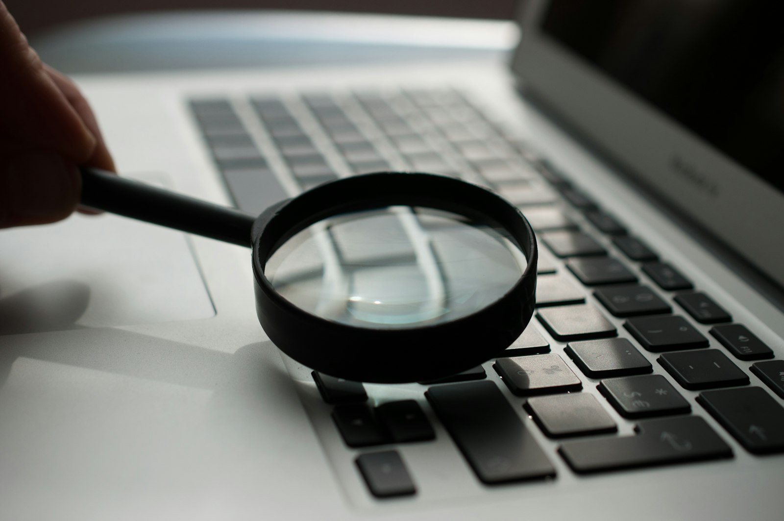 SEO agency researching search visibility and keyword rankings